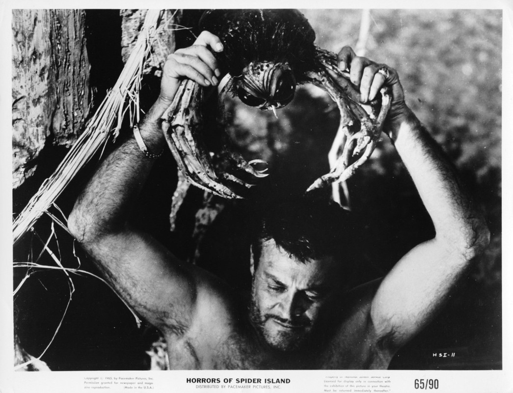 spider island d'arcy