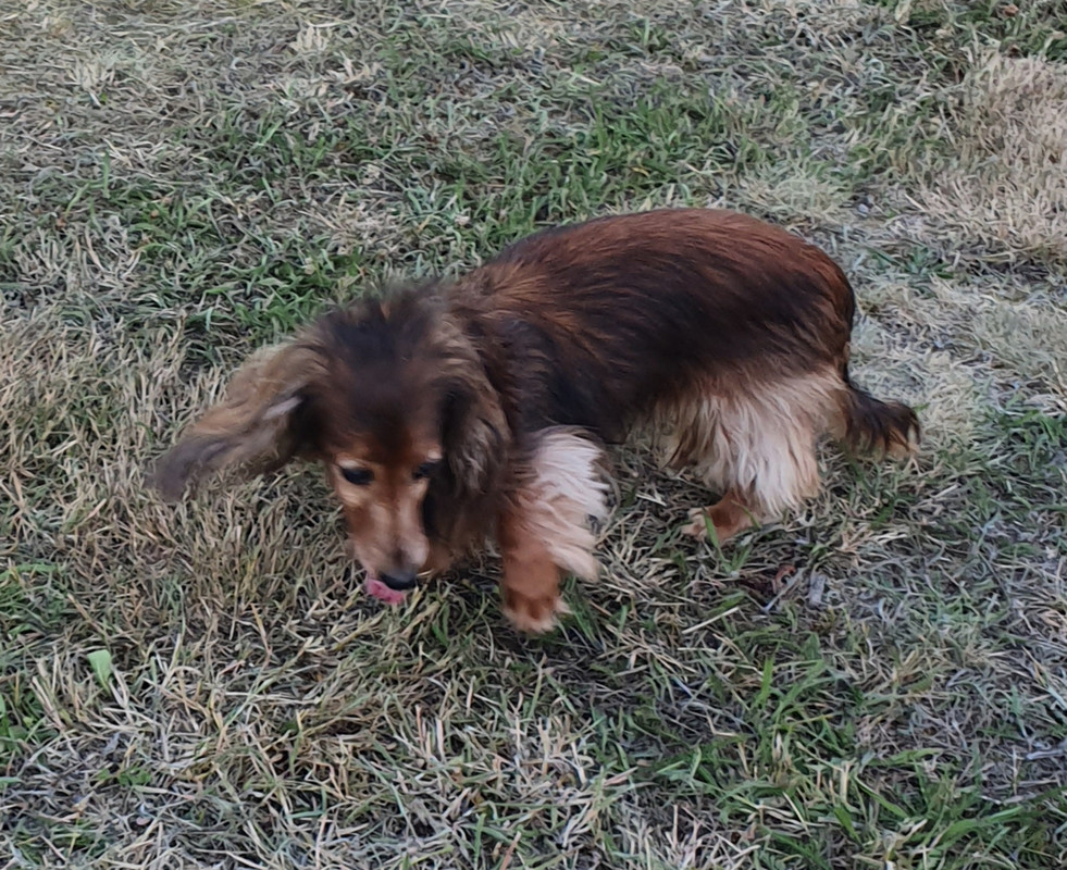 [Image: 20220713-233854.jpg]