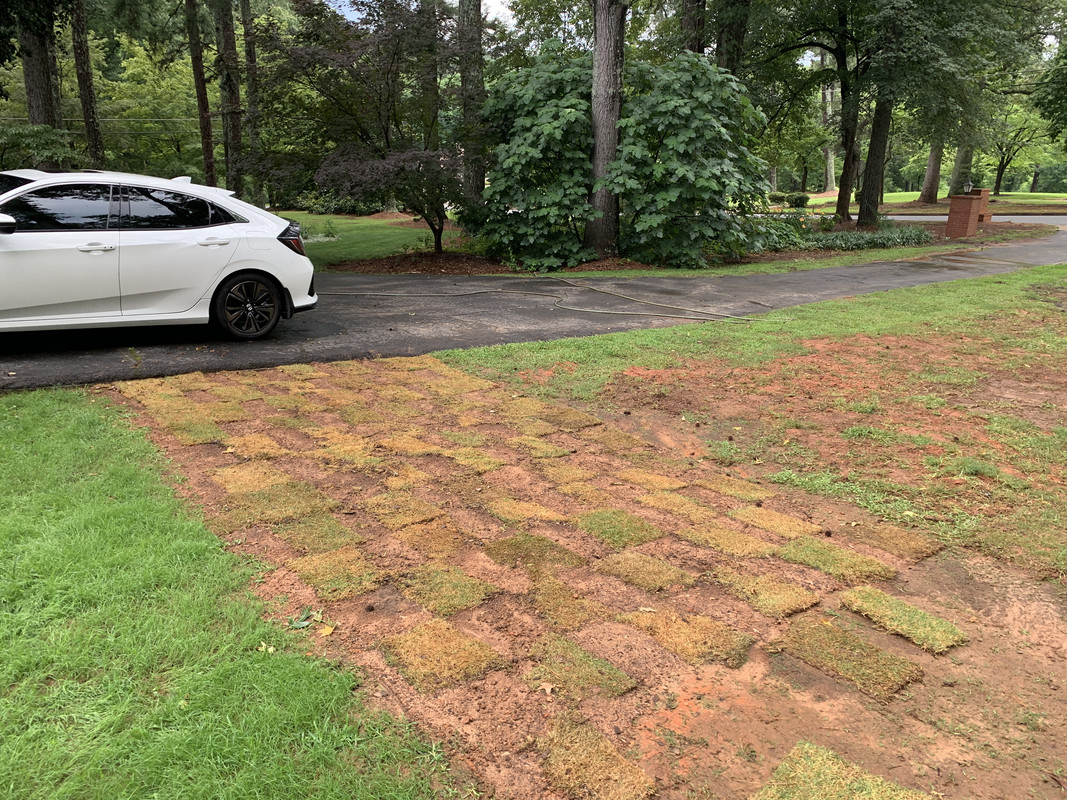 DCFAF064-7043-41ED-8248-B2C5C2C57A22