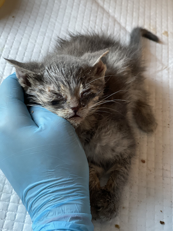 B1C4A91D-FFF5-4807-A86A-6F6AC8FFE453