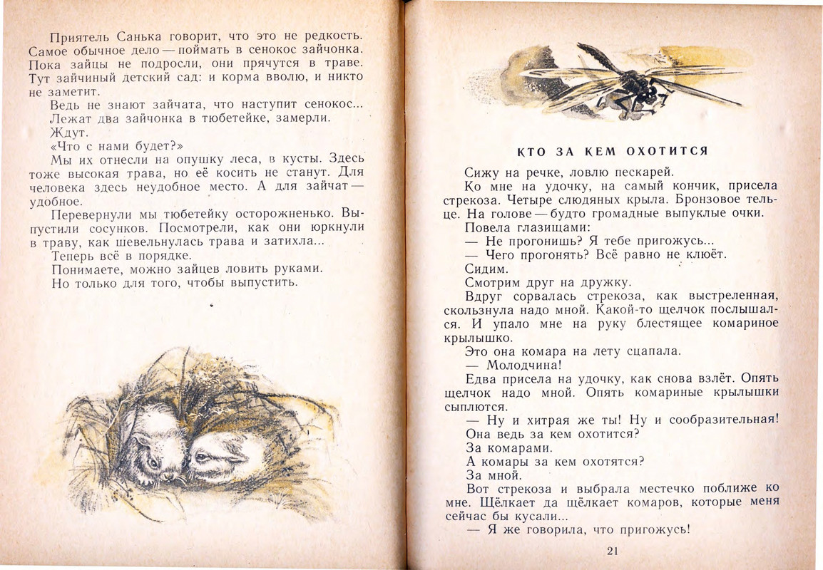 Шим Э. Ю. - Жук на ниточке - 1978_page-0012