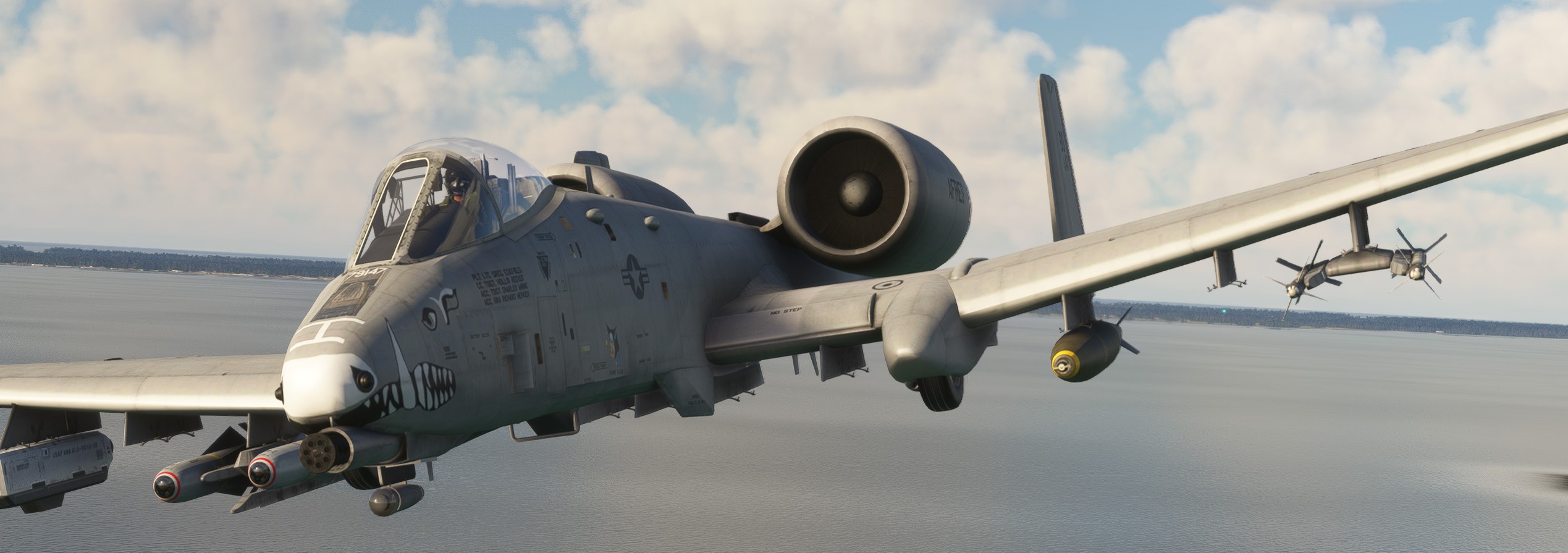 Mean-Warthog.jpg
