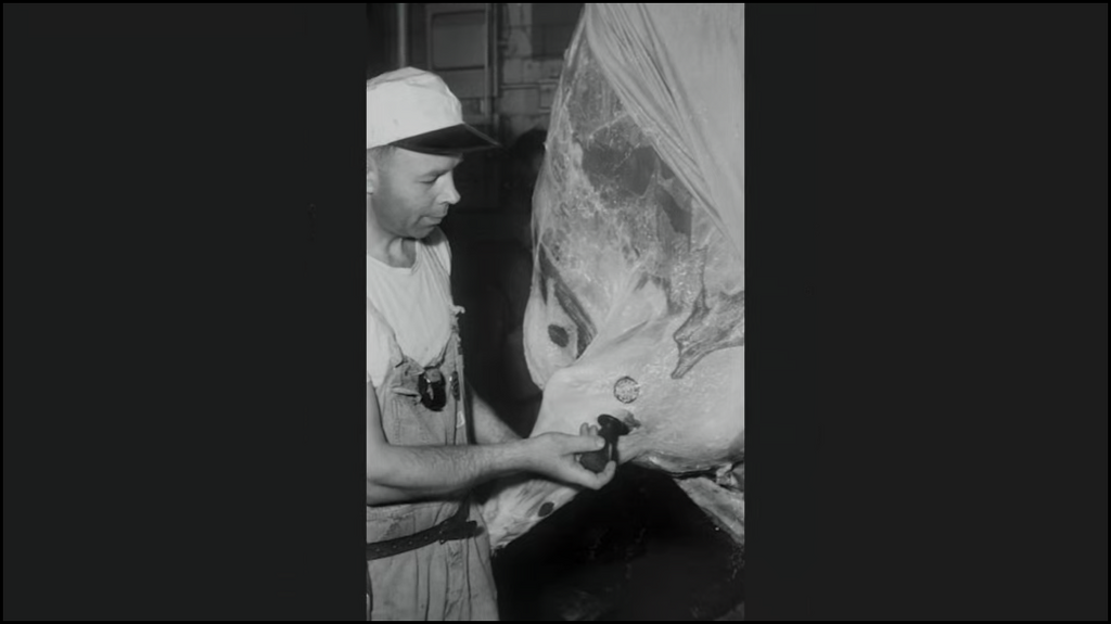 [Image: rlo4mwjtz787.png]