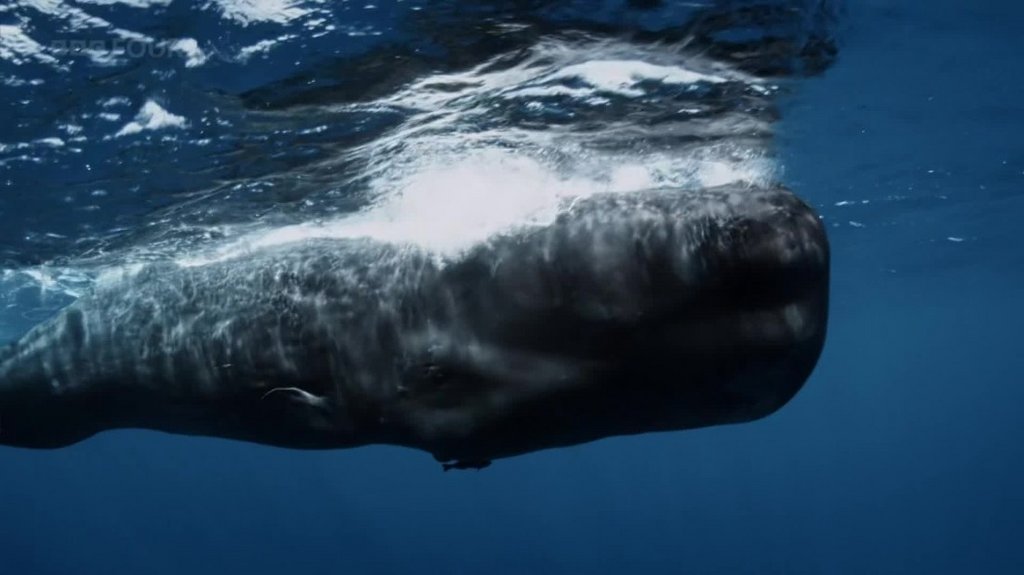 [Image: 98ammko7t9kj.jpg]