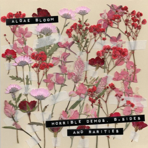 Algae-Bloom-horrible-demos-b-sides-and-r