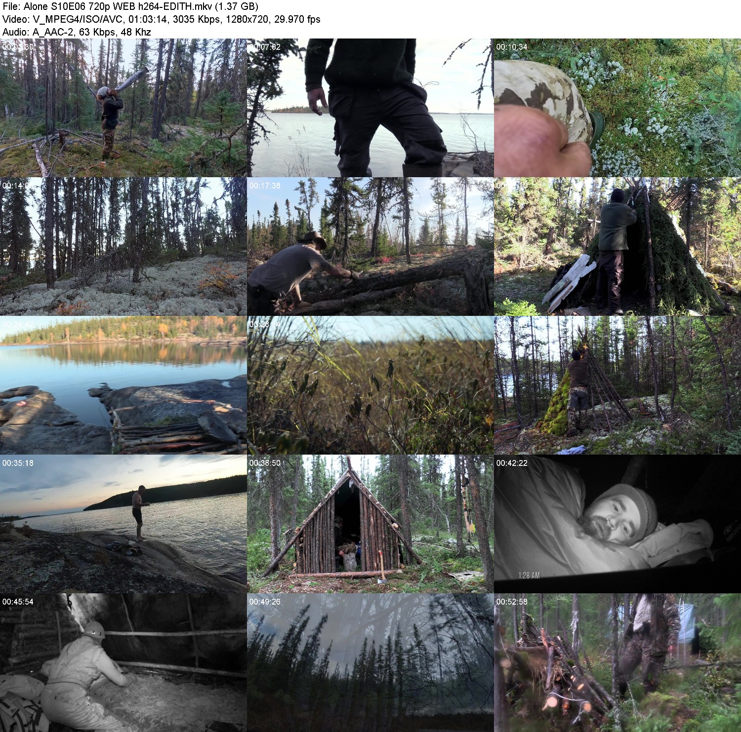 [Image: zl02iga30oot.jpg]