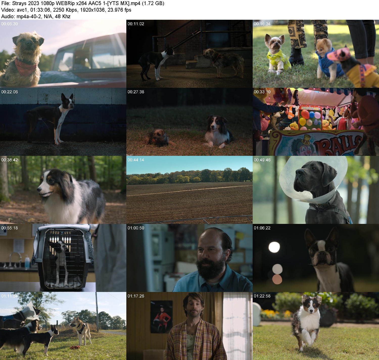 [Image: 4sulz6ls5yj0.jpg]