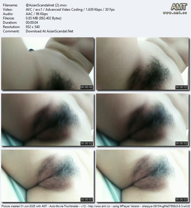 Asian-Scandalnet-(2)-mov