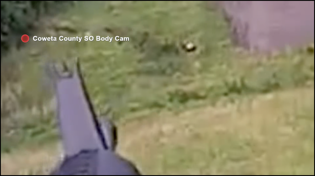 [Image: 10fg2dfbwkp2.png]