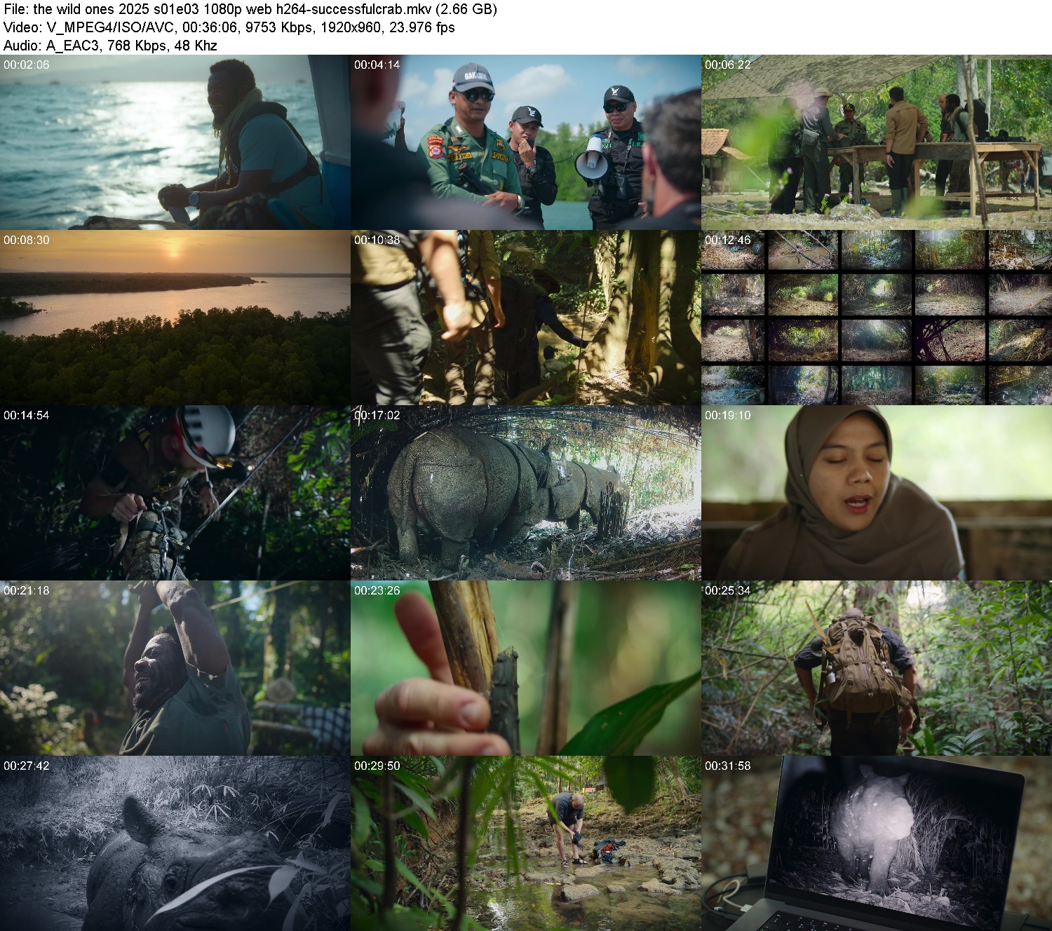 [Image: e1cait4a53zu.jpg]