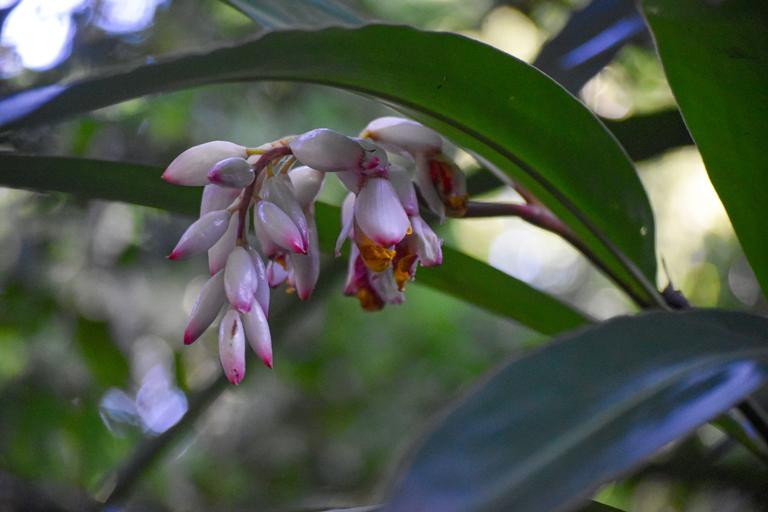 В джазе только девушки или аргентинско-бразильский калейдоскоп В джазе только девушки или аргентинско-бразильский калейдоскоп