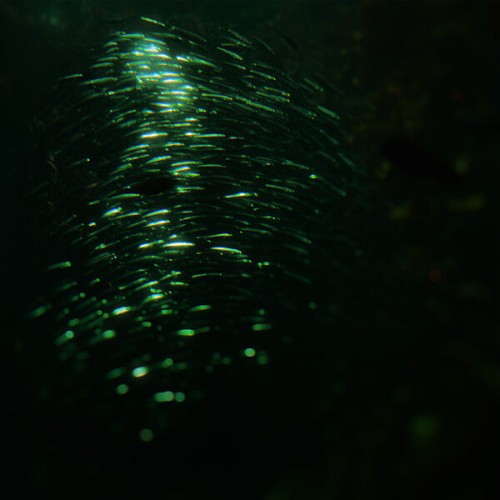 Postdrome - From Heaven, From Nowhere (2026)