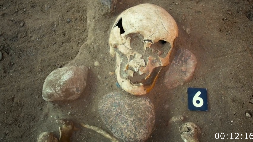 [Image: 2hd1j2bedpk3.png]