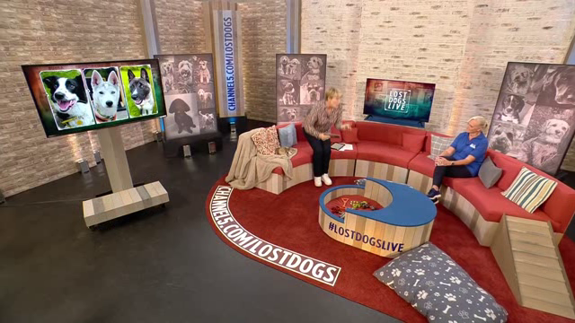 [Image: tds0u3juk8o5.png]