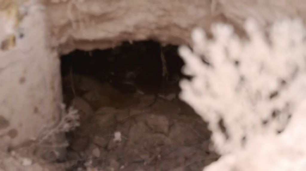 [Image: pgde73e0yte9.png]