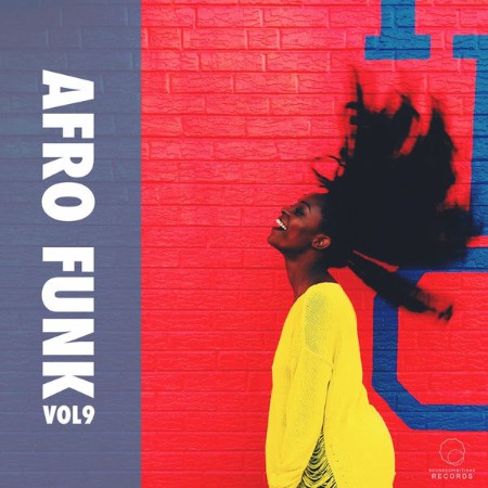 VA - Afro Funk, Vol. 9 (2024)