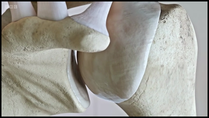 [Image: 9clwvj359urz.png]