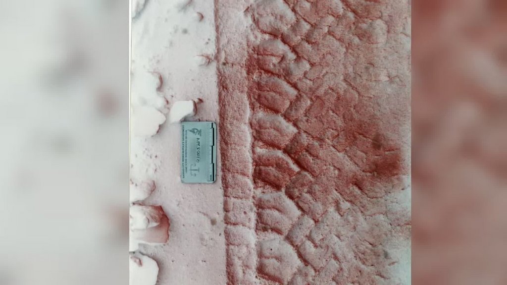 [Image: n60wl2cth1hk.jpg]