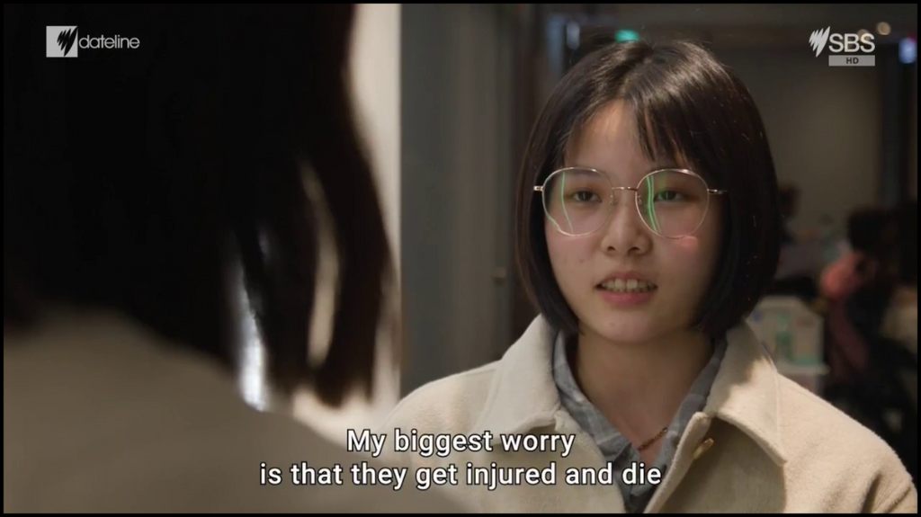 [Image: bp92skv4zfw0.png]