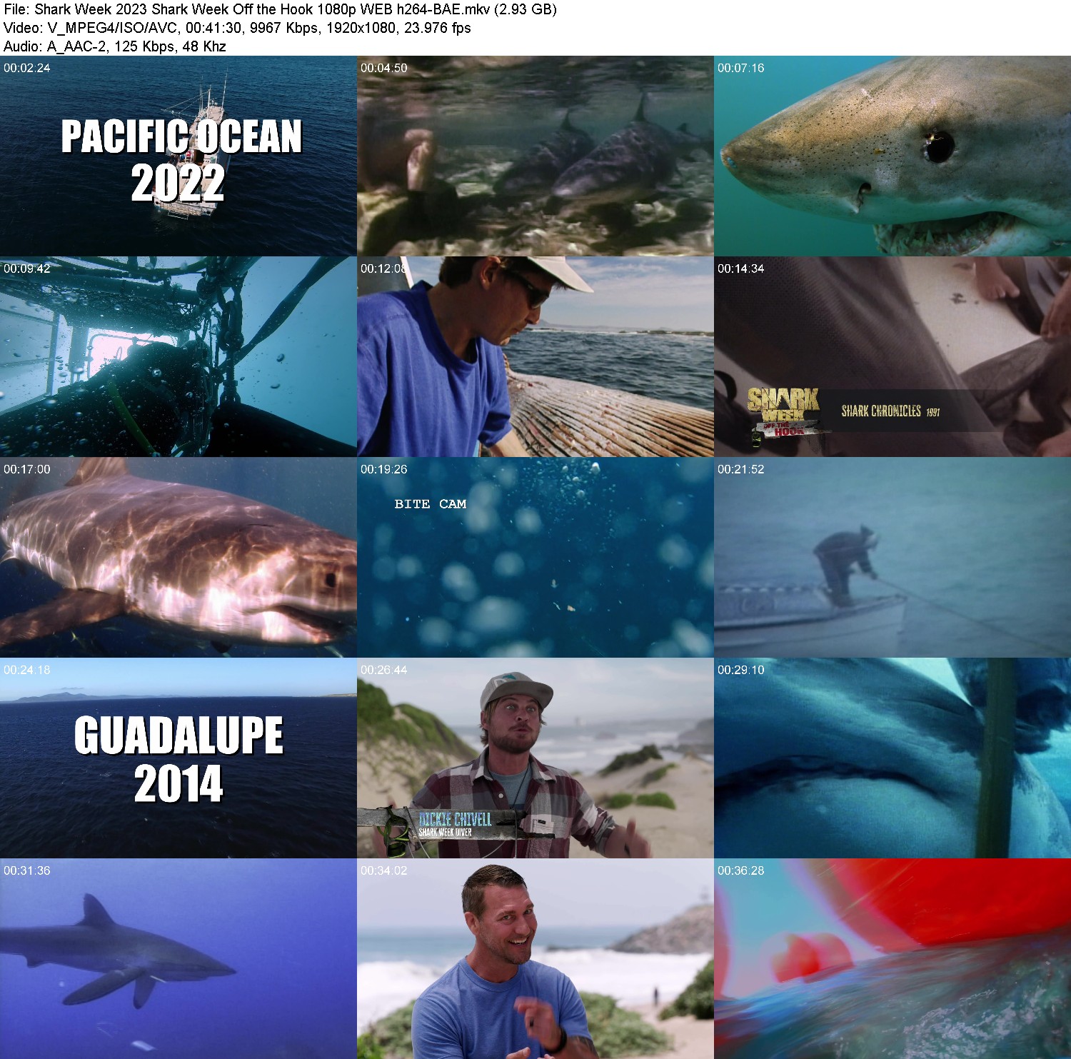 [Image: 87qh7we8nyha.jpg]