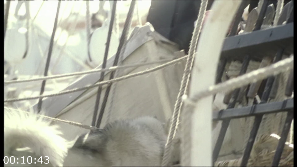 [Image: y2m156wuxitj.png]