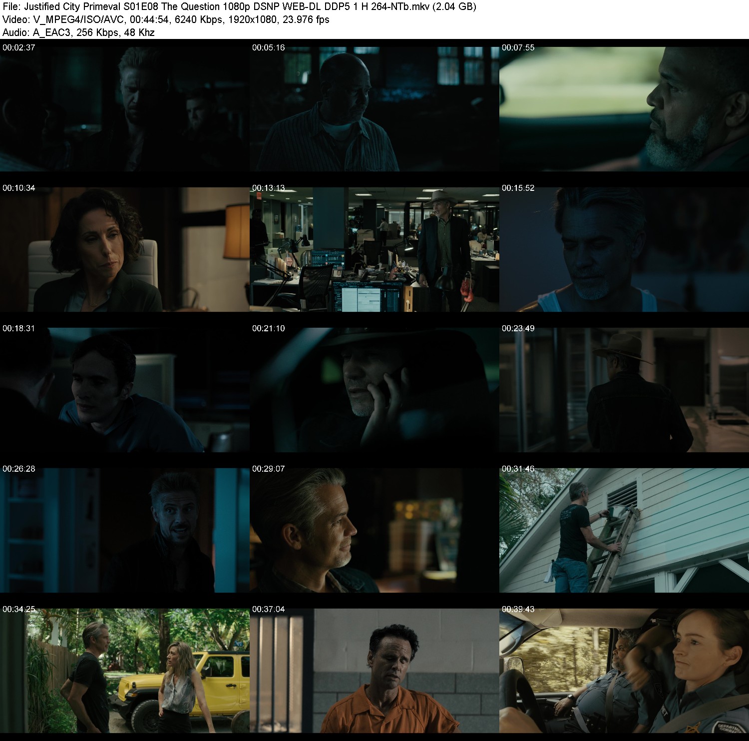 [Image: p2hkpk4u8y3l.jpg]