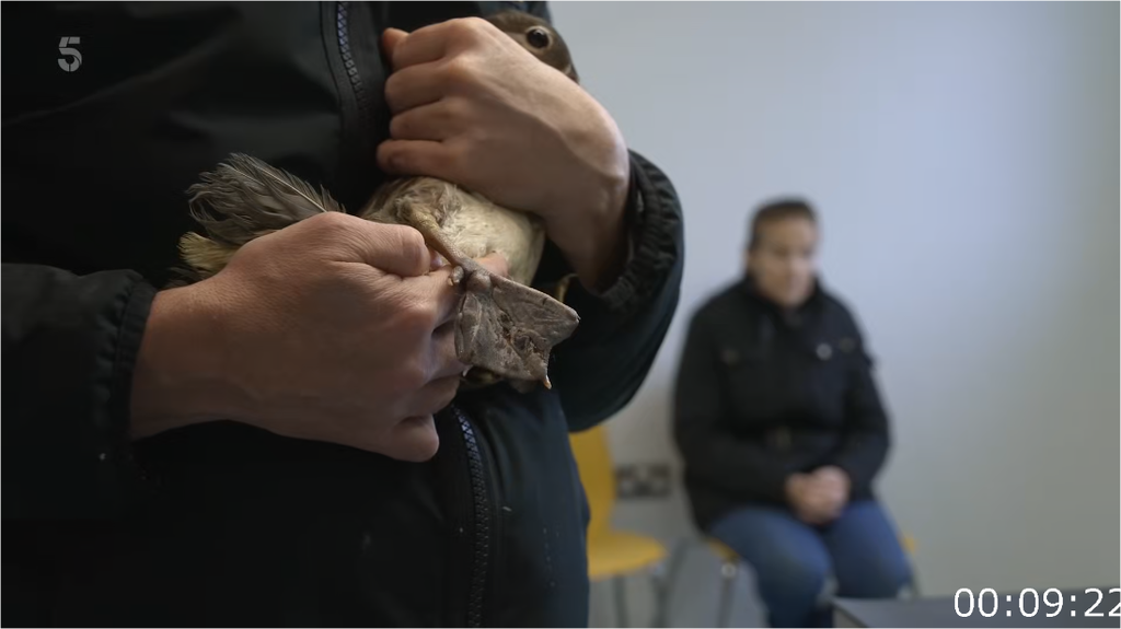 [Image: wk6yojan109t.png]