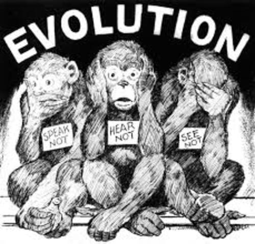 [Image: o3n39epqjgd5.jpg]