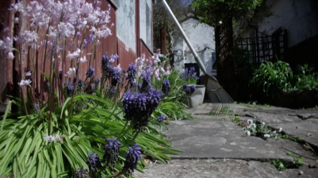 [Image: 0lrft96whay9.jpg]