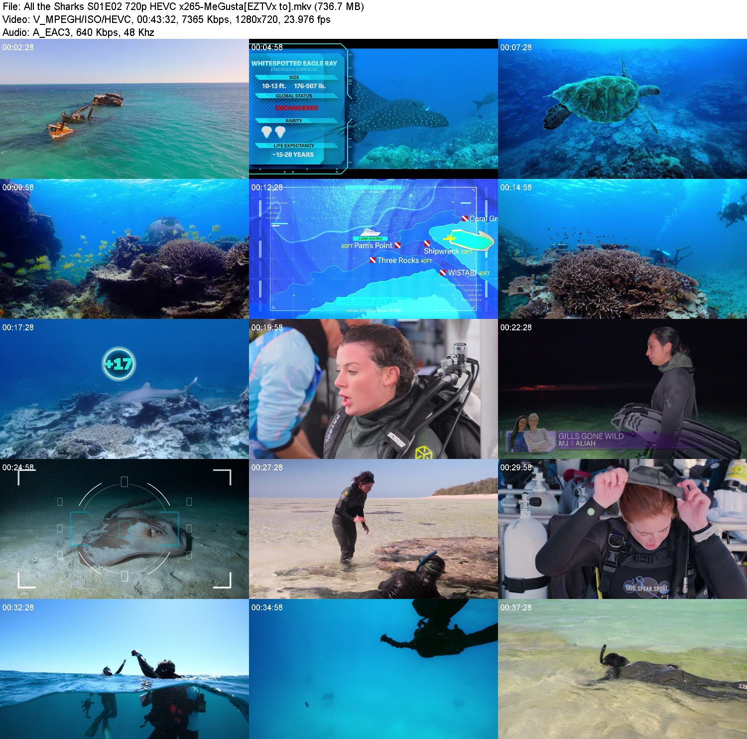 [Image: xf2f4pnit37e.jpg]