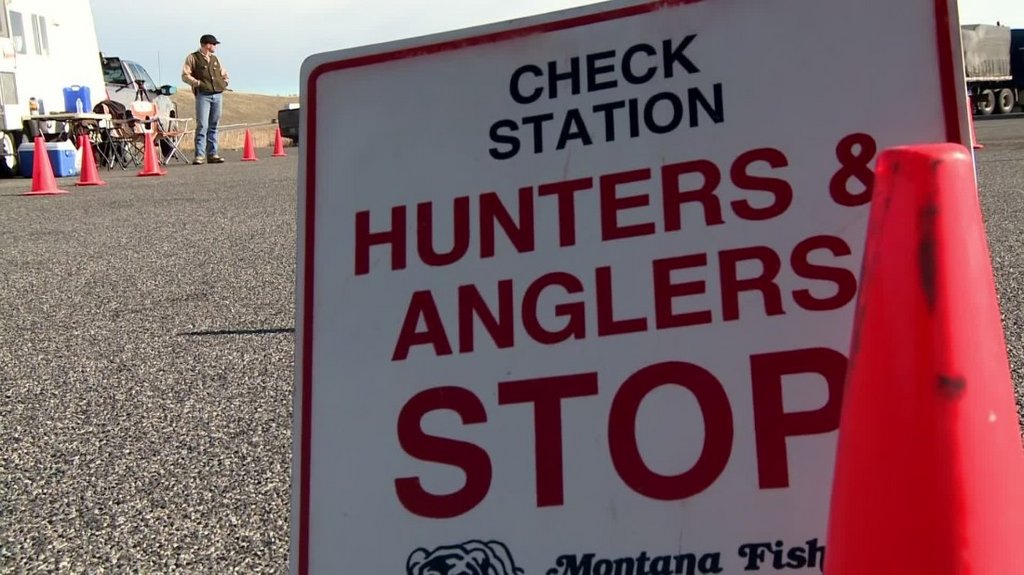 [Image: h82hauu9r0nz.jpg]