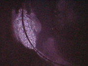 Photo_2025-06-05 21_48_17_061