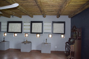 DSC-0127