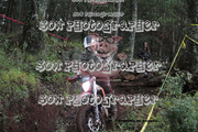 IMG-6598