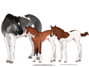 C0D34F12-F4C5-4107-B308-E9CED36AE387