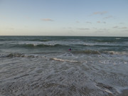 Un-d-a-en-la-playa-en-la-tarde-96