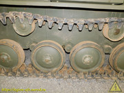 DSCN6537