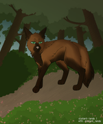 export202410121528169310