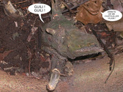 [Image: Osons-imaginer-3575-ok.jpg]