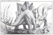 https://i.postimg.cc/KKQcZBmc/a-fight-between-stegosaurus-and-ceratosaurus-purnells-book-of-dinosaurs-and-prehistoric-animals.jpg