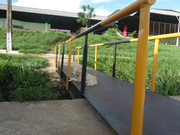 45.1.daylight bystanders I