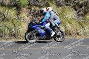 IMG-1375