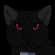 306006-Camp_Stories-C