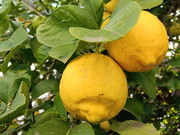 IMG20250108005602