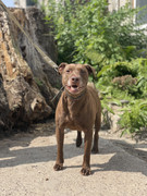 IMG_20230706_152138_214