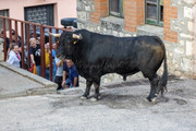 IMG-0055