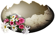 0-1c1b2a-24098ec9-orig