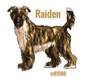 00EF9B2B-FE5A-47E2-AFDC-0FB1D2E9CC9D