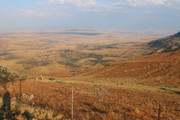 IMG-0259