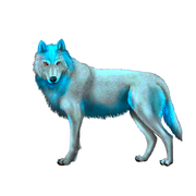 2024_06_03_0zl_Kleki